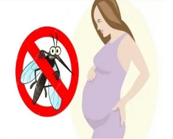 ডেঙ্গু ঝুঁকিতে গর্ভবতী নারীরা, দরকার সচেতনতা